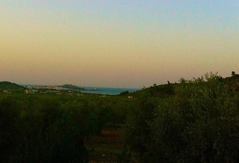 Azienda Agricola B&b Macchiaria  | Vieste | Foggia | Italia 5