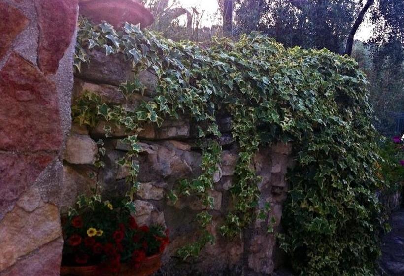 Azienda Agricola B&b Macchiaria  | Vieste | Foggia | Italia 6