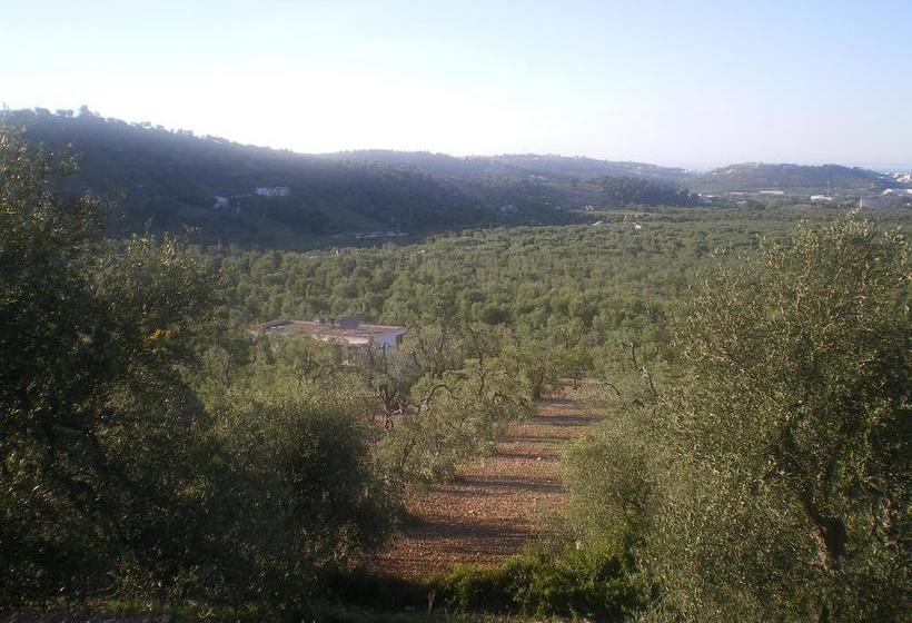 Azienda Agricola B&b Macchiaria  | Vieste | Foggia | Italia 9
