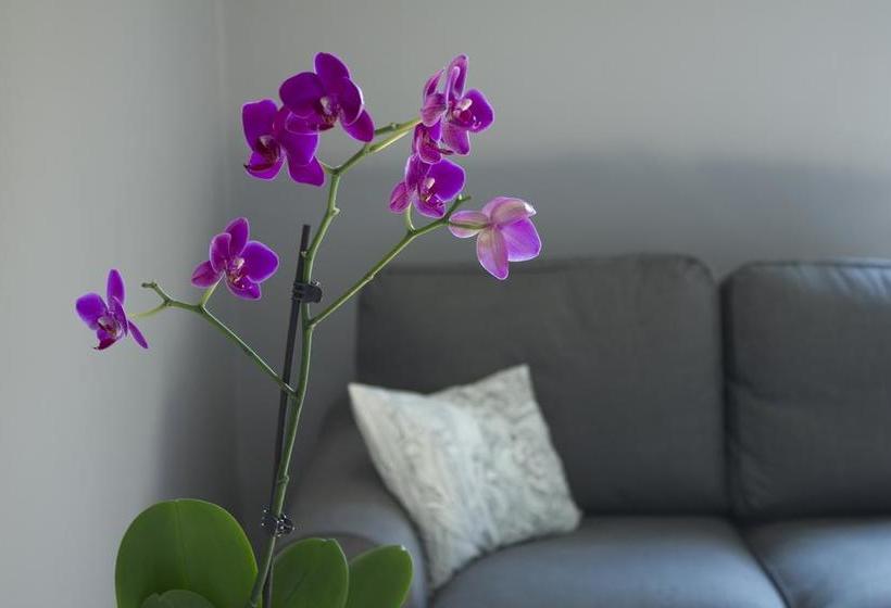 Bed and Breakfast Immagini E Parole  | Giarre | Catania | Italia 7