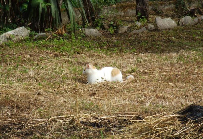 B&b Alle Ortensie Blu  | Sesta Godano | La Spezia | Italy 1