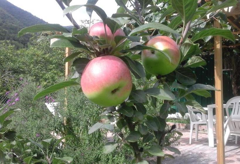 B&b Alle Ortensie Blu  | Sesta Godano | La Spezia | Italy 10