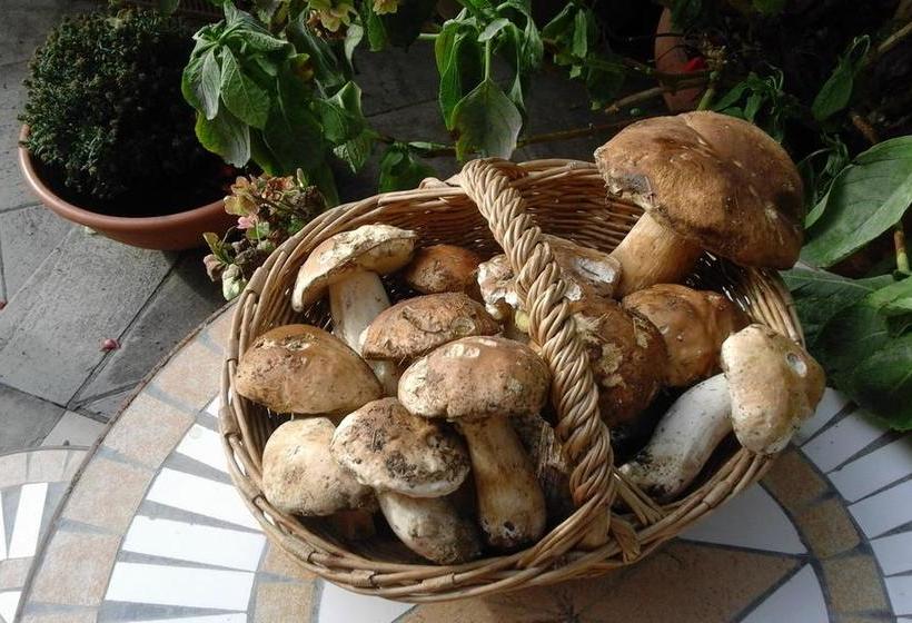 B&b Alle Ortensie Blu  | Sesta Godano | La Spezia | Italy 11