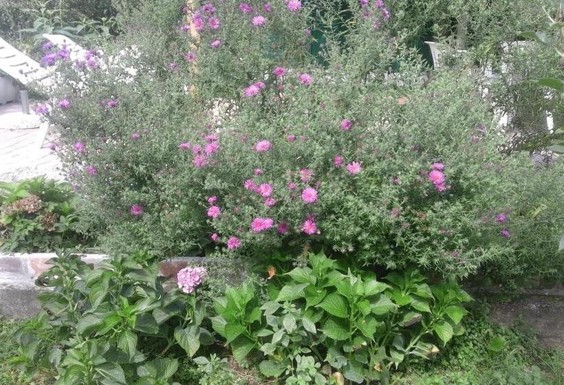 B&b Alle Ortensie Blu  | Sesta Godano | La Spezia | Italy 13