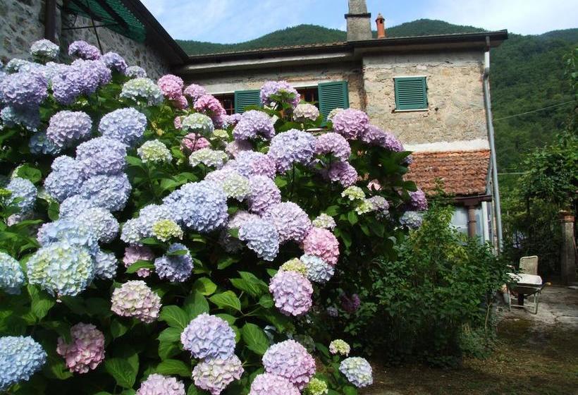B&b Alle Ortensie Blu  | Sesta Godano | La Spezia | Italy 8