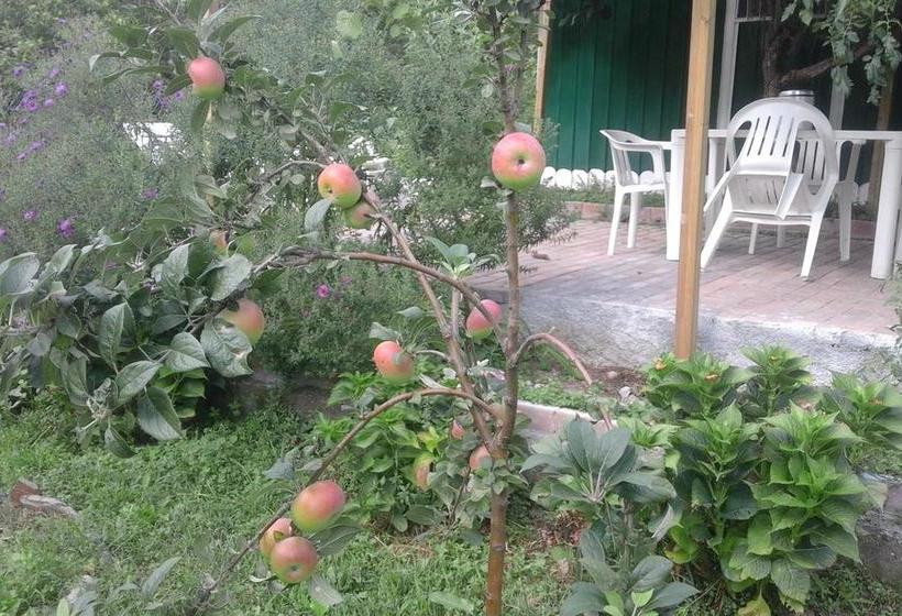 B&b Alle Ortensie Blu  | Sesta Godano | La Spezia | Italy 9