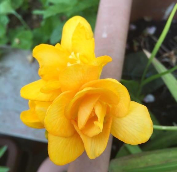 Bed and Breakfast Expomilano Vm  | Rho | Milano | Italia 20