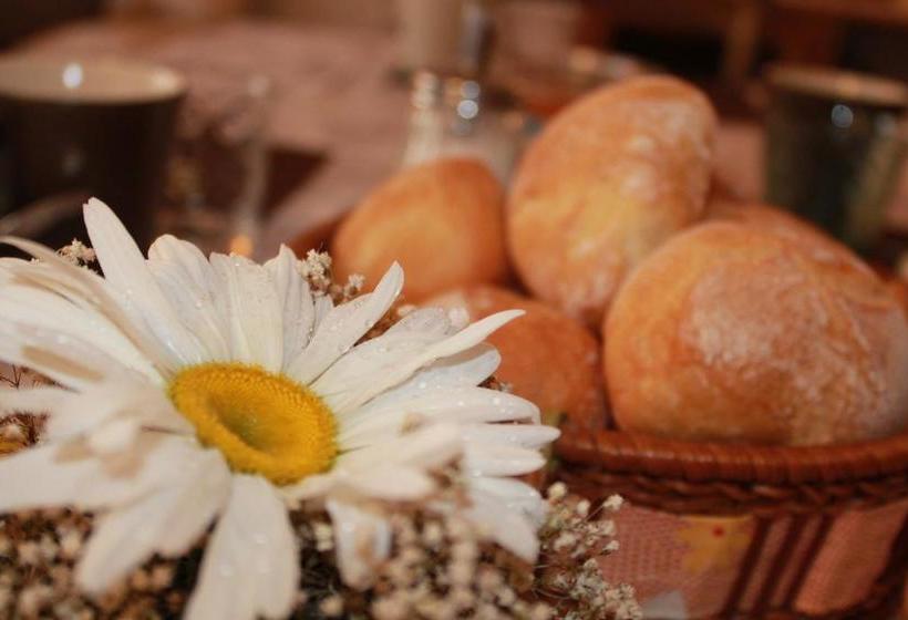 B&b Residenza Garibaldi  | Molveno | Trento | Italy 7