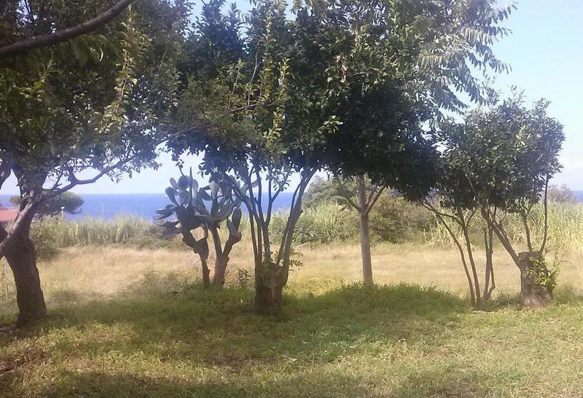 Bed and Breakfast Feudo Di Plutino  | Parghelia | Vibo Valentia | Italia 13