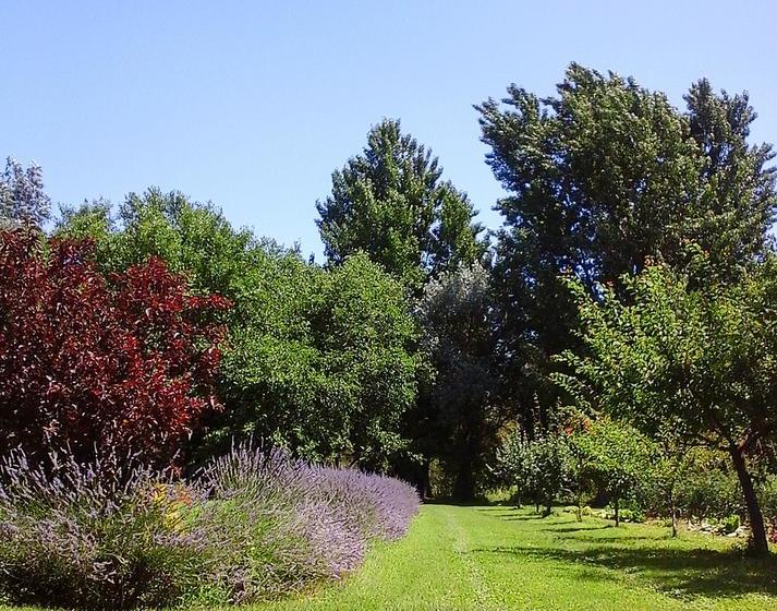 Bed and Breakfast Cà Morari  | Argenta | Ferrara | Italy 18