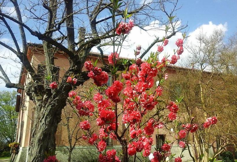 Bed and Breakfast Cà Morari  | Argenta | Ferrara | Italy 2