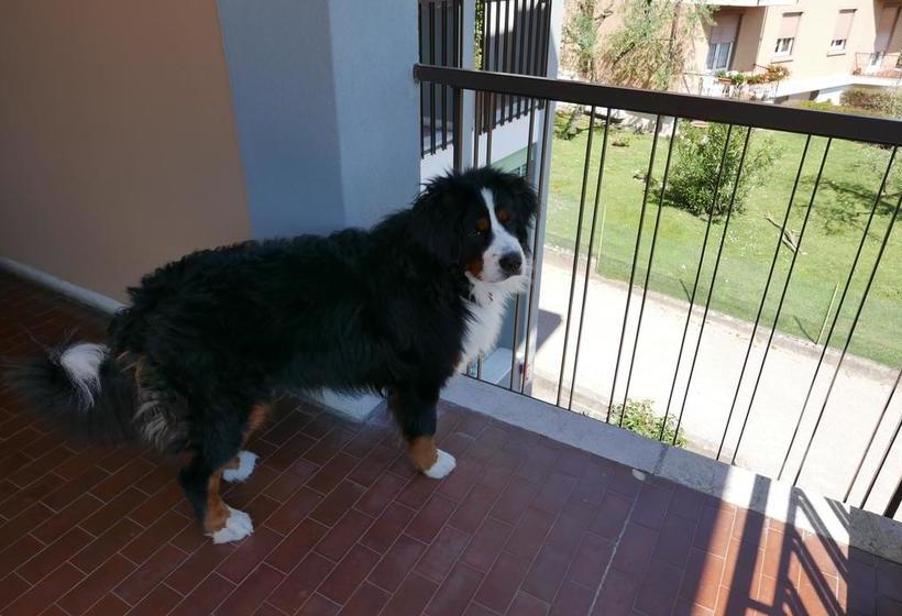 Hotel Albergo Villa Angela