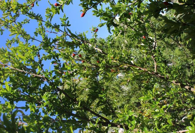 B&b Al Centro Storico 21  | Atri | Teramo | Italia 7