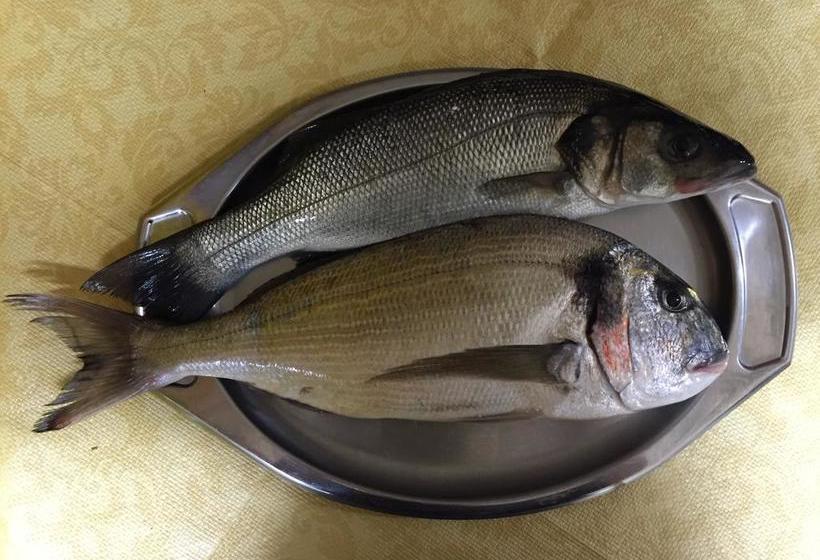 B&b La Regina  | Lido Marini | Lecce | Italia 12