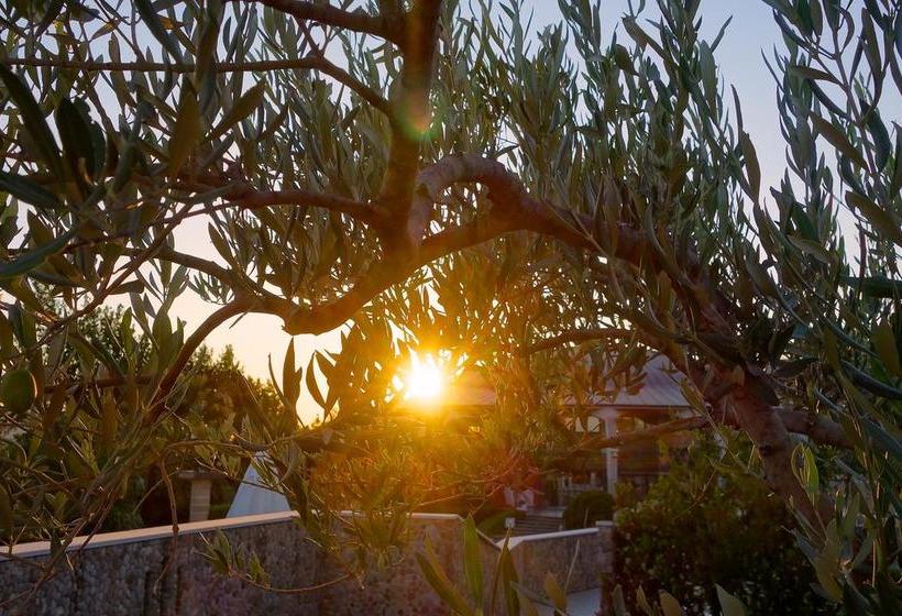 Hotel Forliano  | Bernalda | Matera | Italy