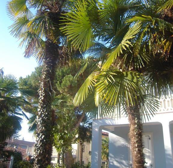 B&b Il Passito Caluso  | Caluso | Torino | Italia 18