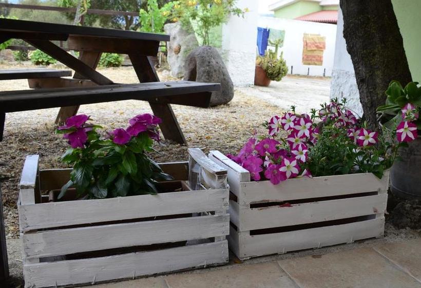 Bed & Breakfast Pira Pinta