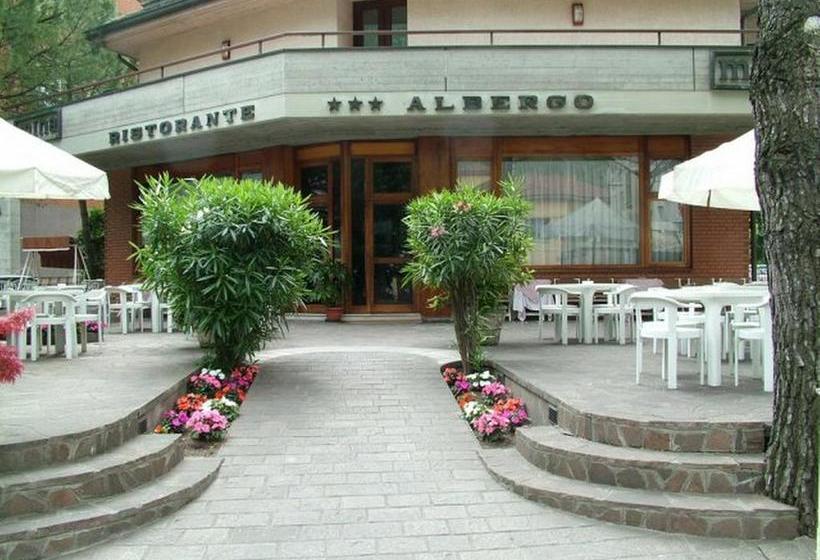 Hotel Mina  | Boario Terme | Brescia | Italia 17