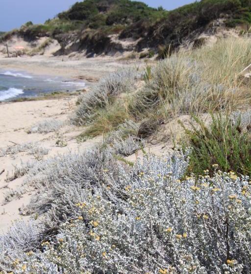 B&b Casa Del Sole  | Ostuni | Brindisi | Italia 15