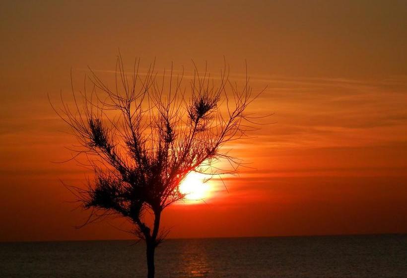 Bed and Breakfast Al Fakhar  | Ficarra | Messina | Italia 5