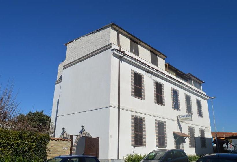 Hotel Albergo Ollolai  | Civitavecchia | Roma | Italia 16