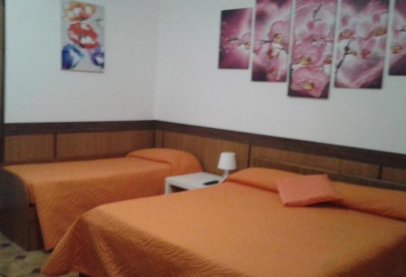 Hotel Albergo Ollolai  | Civitavecchia | Roma | Italia 4