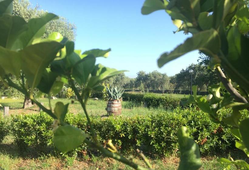 Bed and Breakfast Tenuta Terrarossa  | Rossano | Cosenza | Italia 3