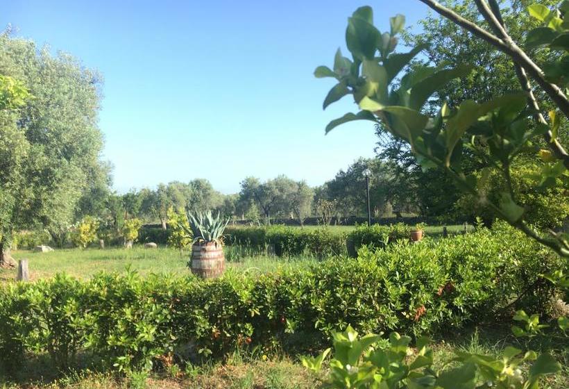 Bed and Breakfast Tenuta Terrarossa  | Rossano | Cosenza | Italia 4