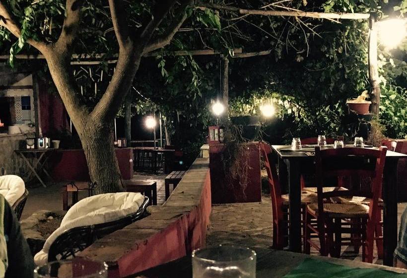 Bed and Breakfast Tenuta Terrarossa  | Rossano | Cosenza | Italia 5