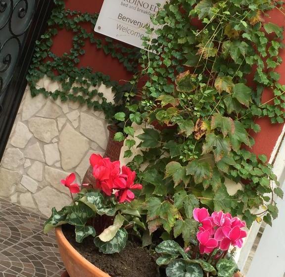 Giardino Eden B&b  | Napoli | Napoli | Italia 15