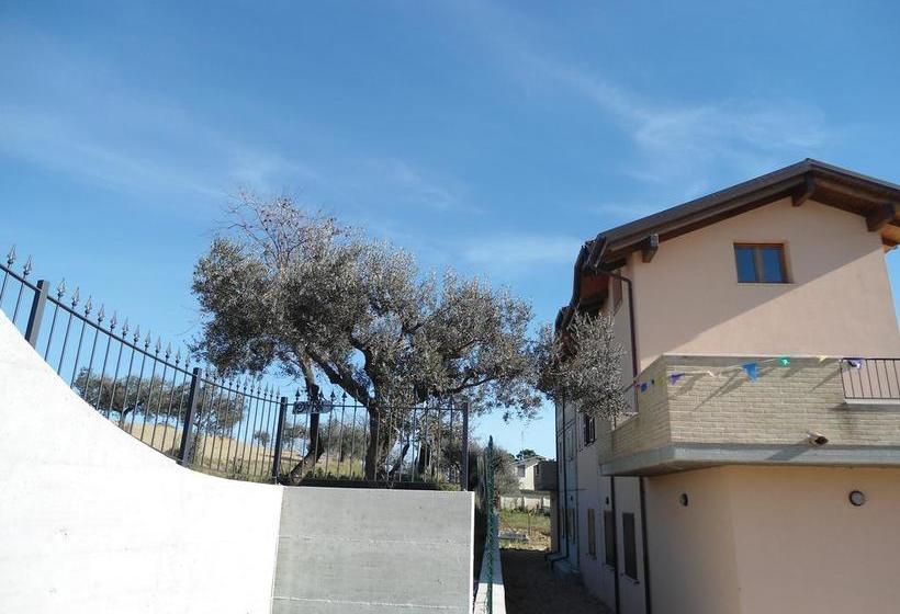 Rosa Spina B&b  | Controguerra | Teramo | Italia 13