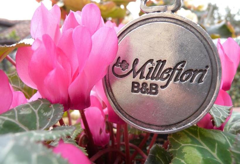 B&b Millefiori  | Brescia | Brescia | Italia 15