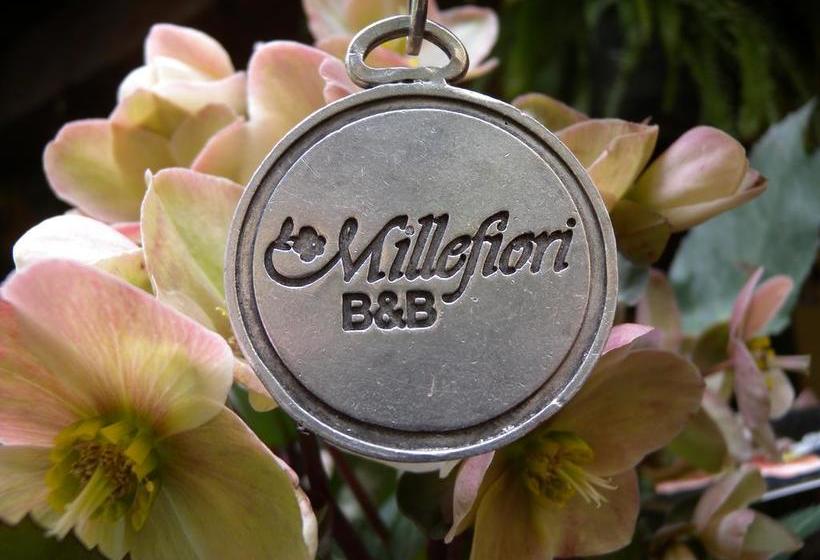 B&b Millefiori  | Brescia | Brescia | Italia 4