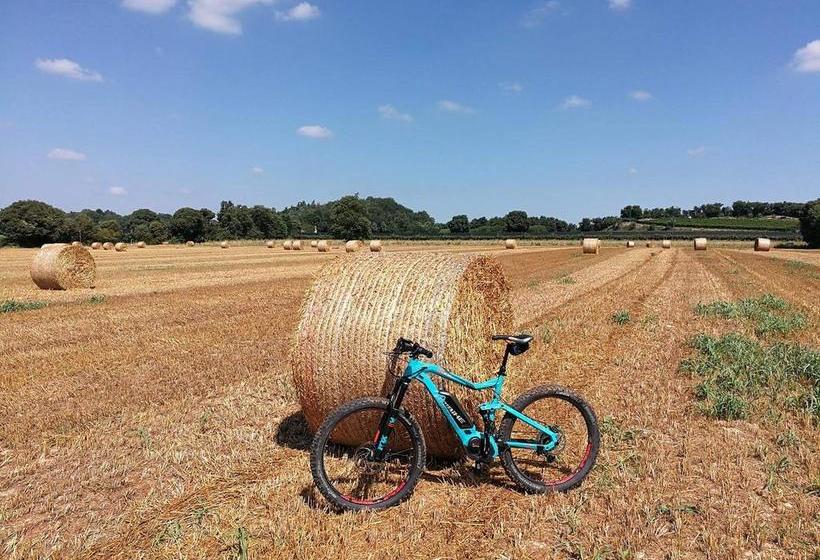 Hotel Albergo Al Cacciatore Tortellinando  | Valeggio sul Mincio | Verona | Italy 2