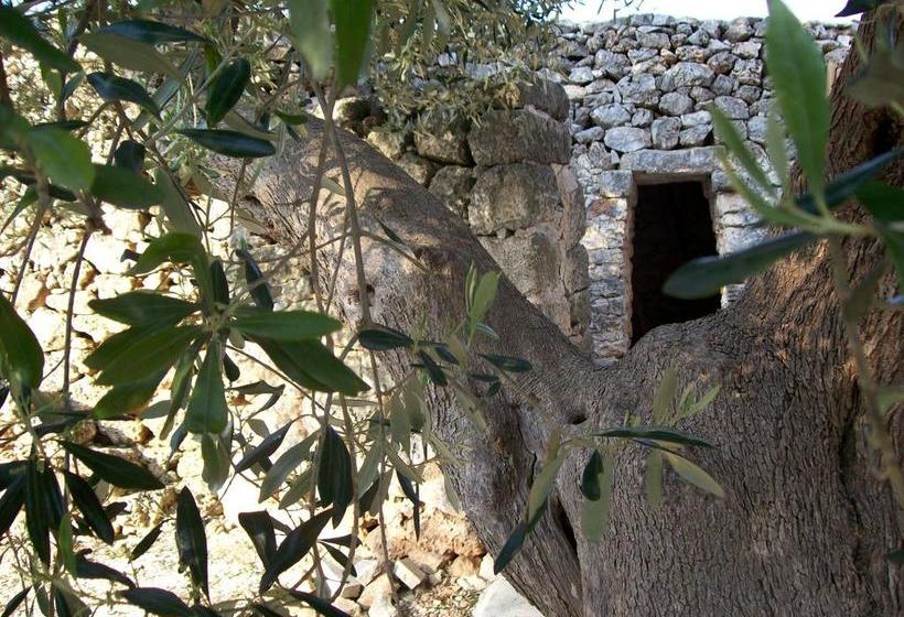 Almacanto B&b  | Tuglie | Lecce | Italia 14