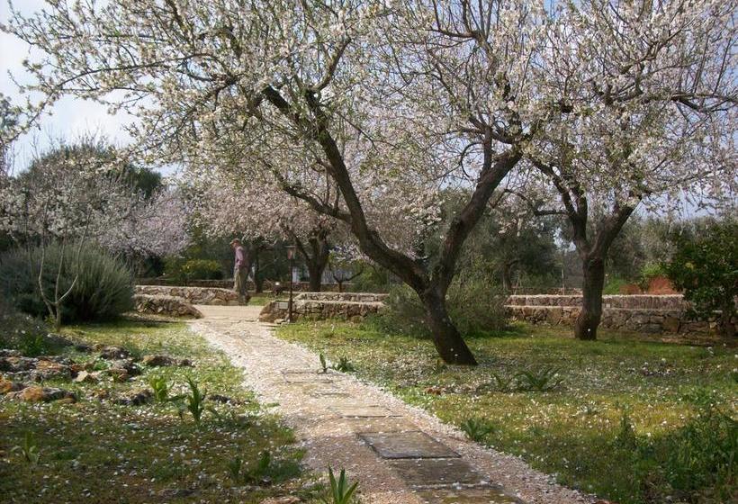 Almacanto B&b  | Tuglie | Lecce | Italia 15