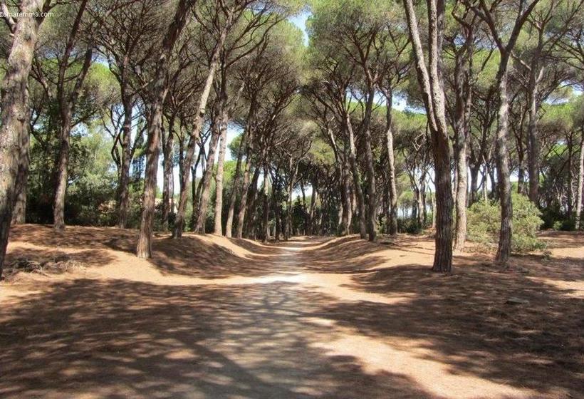 B&b Il Gabbiano  | Orbetello | Grosseto | Italia 8