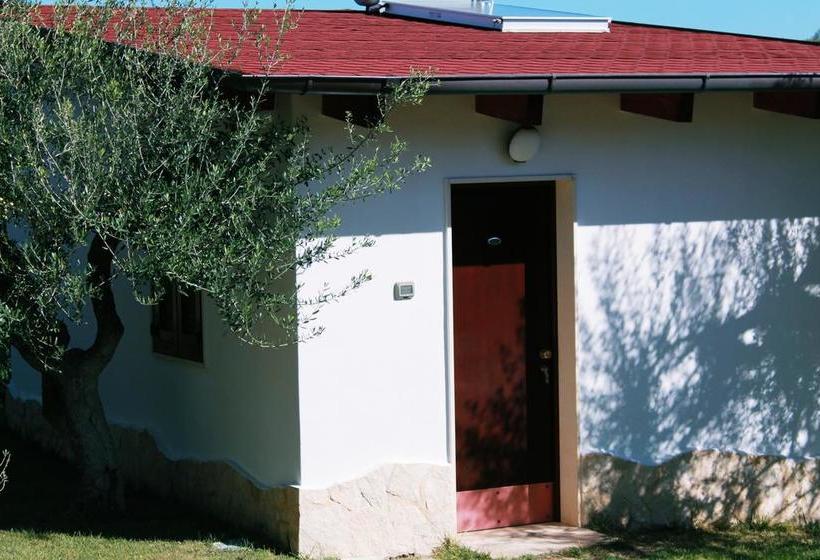 Bed and Breakfast Maglioferro Residence  | Corato | Bari | Italia 11