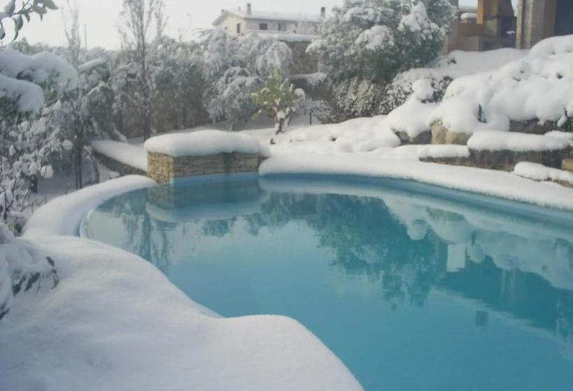 Bed and Breakfast Maglioferro Residence  | Corato | Bari | Italia 6