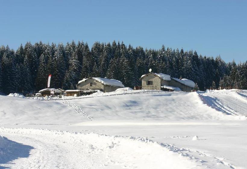 Malga Millegrobbe Nordic Resort 
