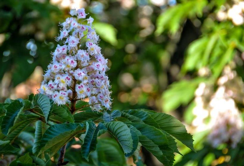 B&b Al Parco Giardini Margherita  | Bologna | Bologna | Italia 16