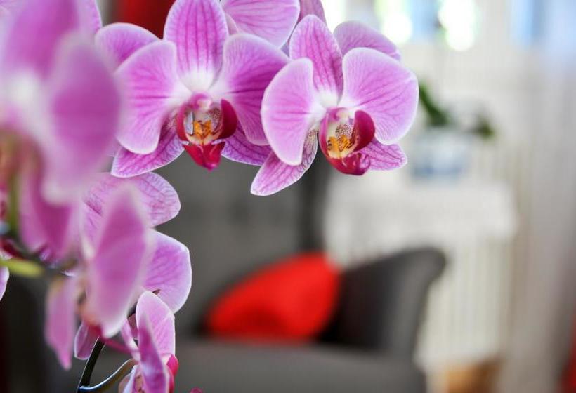 B&b Al Parco Giardini Margherita  | Bologna | Bologna | Italia 2