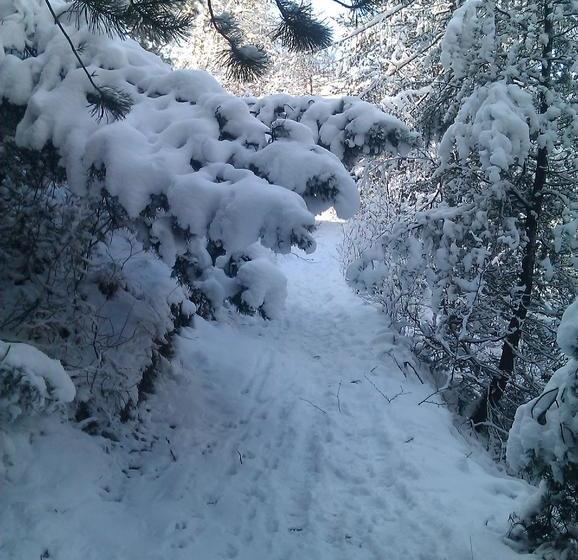 Ostello Guesthouse Seghetto  | Valdidentro | Sondrio | Italia 17