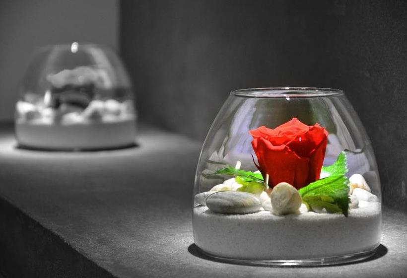 B&b Bacio Di Dama  | Turin | Turin | Italy 7