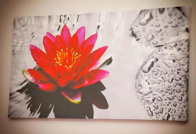 Bed and Breakfast Domus Armenio  | Napoli | Napoli | Italia 3