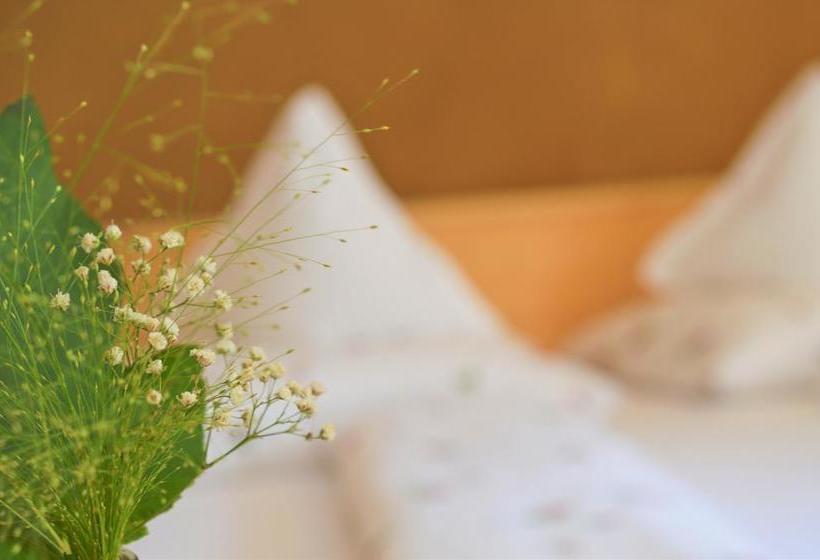 Hotel Villa Freiheim  | Merano | Bolzano | Italia 5