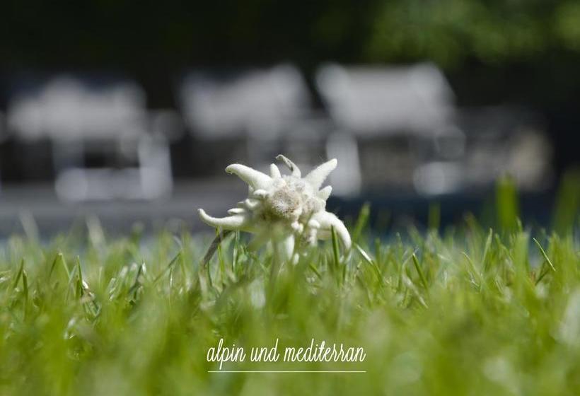 Hotel Villa Freiheim  | Merano | Bolzano | Italia 9