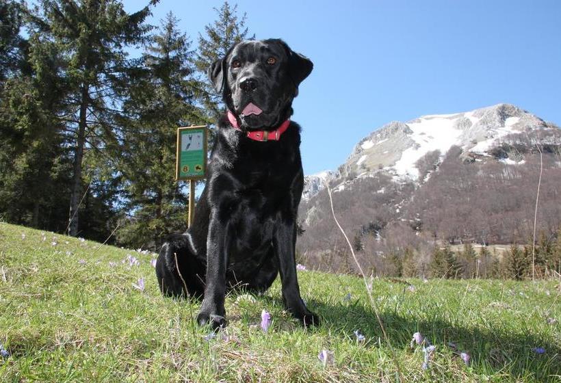 Bed and Breakfast La Pinetina  | San Massimo | Campobasso | Italia 13