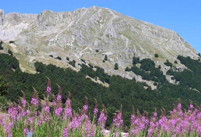 Bed and Breakfast La Pinetina  | San Massimo | Campobasso | Italia 14