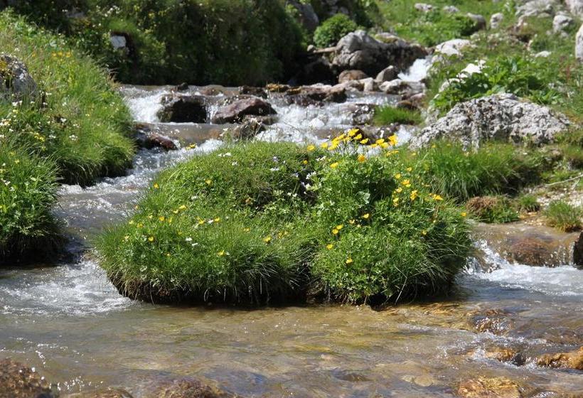 Bed and Breakfast La Pinetina  | San Massimo | Campobasso | Italia 16